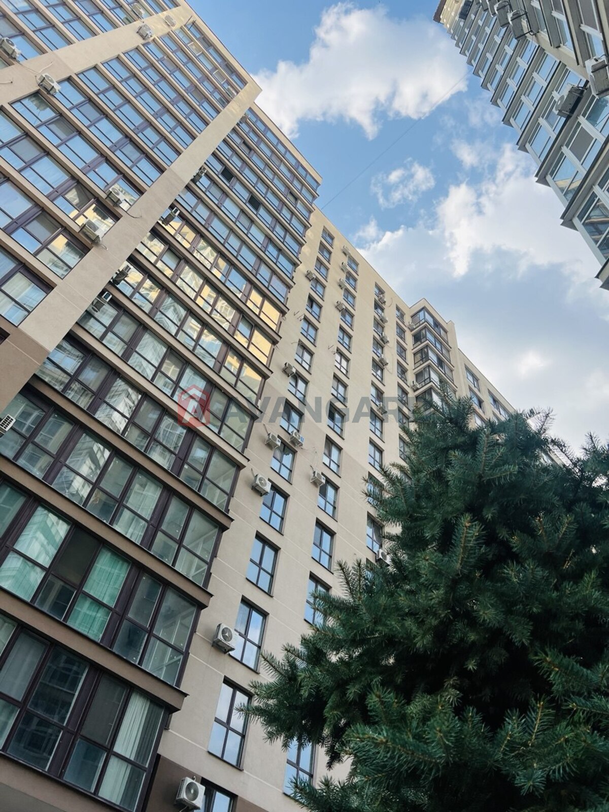 3 ��. ��������, 70,5/30/25 ��. �., 7/16 ������ ���� 2