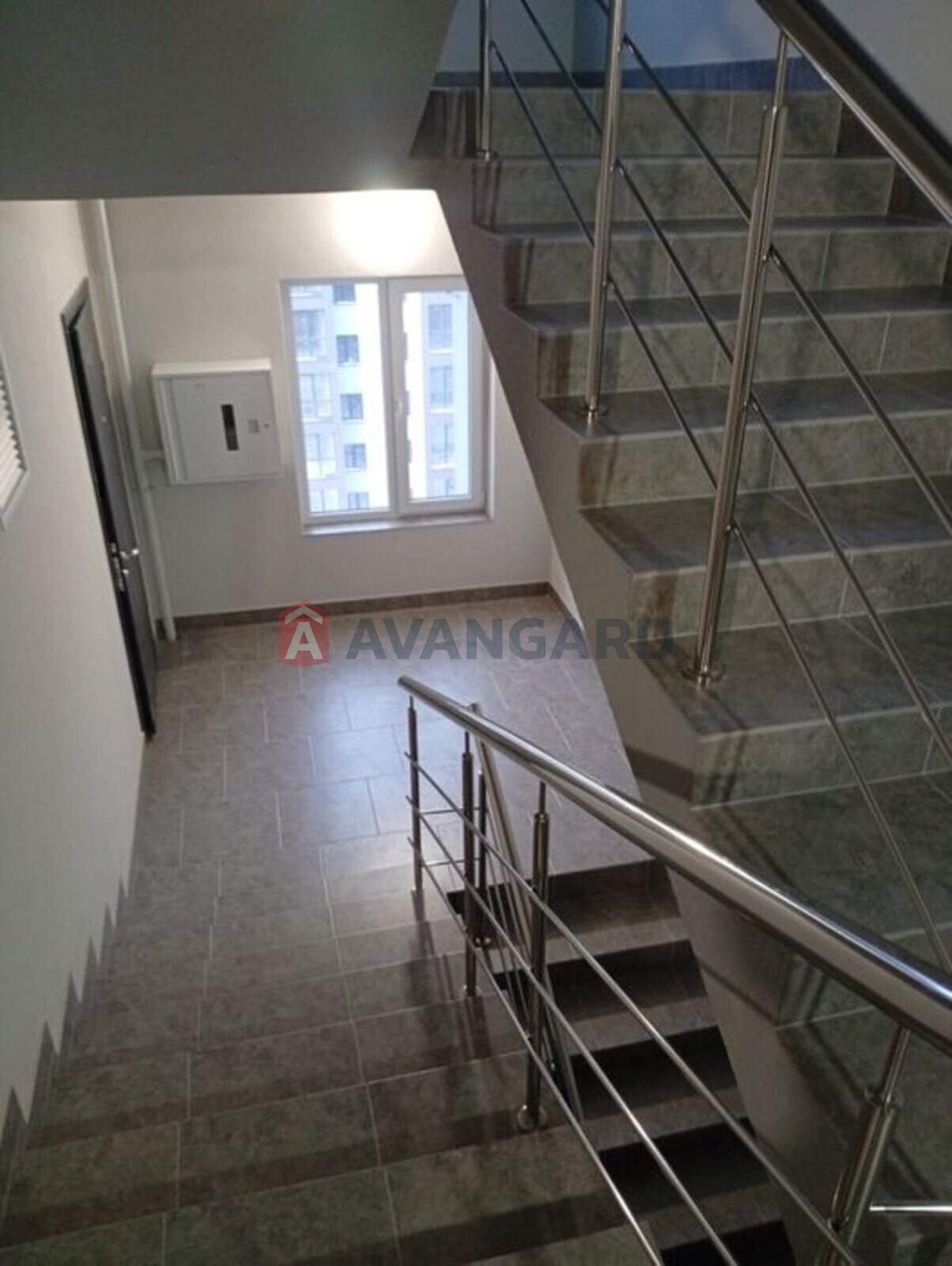 1 ����. ��������, 50/-/19 ��. �., 8/10 ���� ���� 5