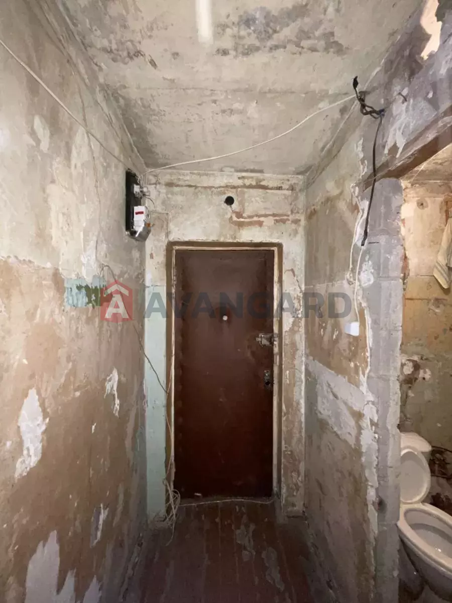 2 ��. ��������, 43/-/5 ��. �., 3/5 ������ ���� 2