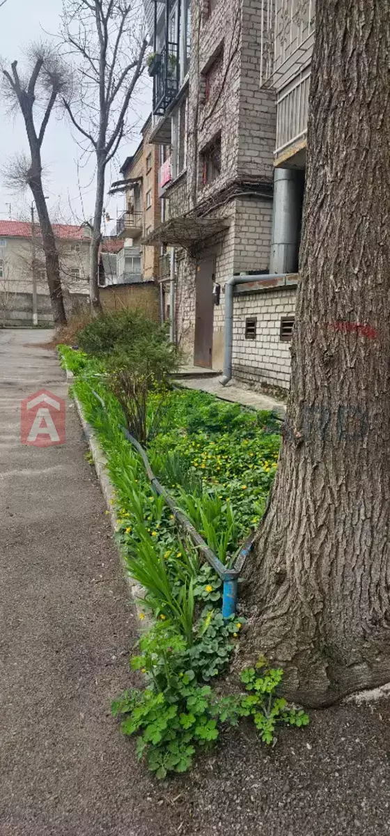 1 ��. ��������, 51/44/7 ��. �., 3/3 ������ ���� 24