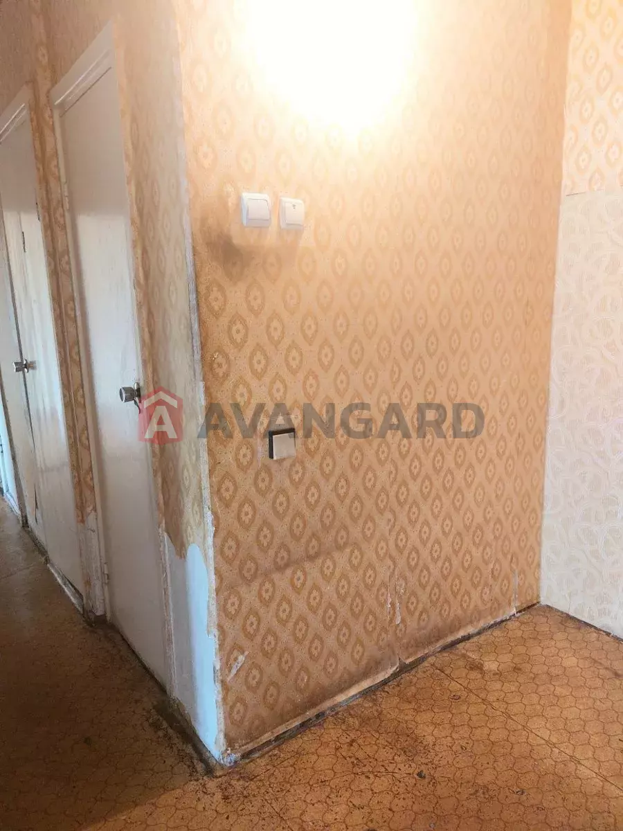 3 ����. ��������, 75/-/7 ��. �., 6/16 ���� ���� 18