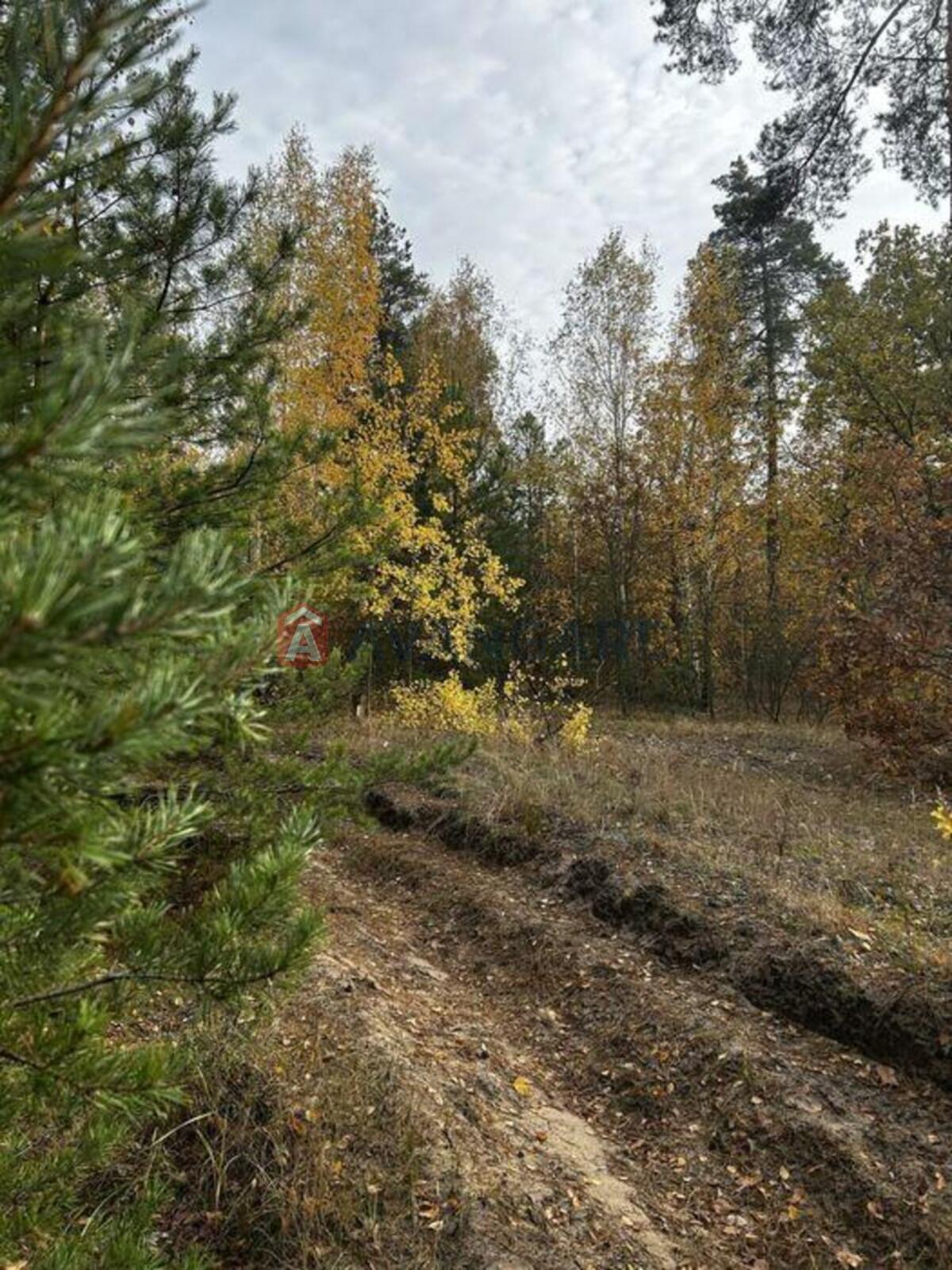 2 ��. ��������, 81/-/20 ��. �., 3/6 ������ ���� 21