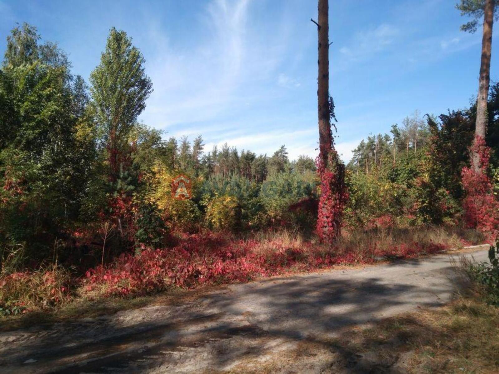 2 ��. ��������, 81/-/20 ��. �., 3/6 ������ ���� 17