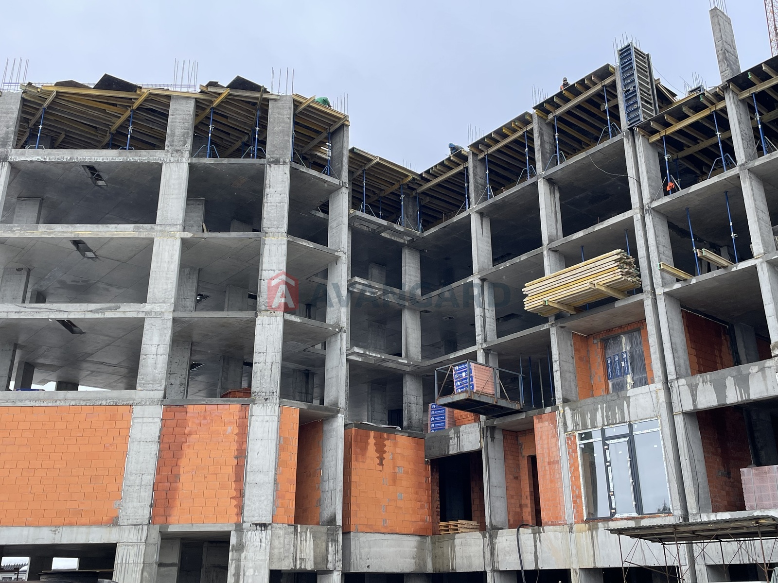 1 ����. ��������, 47,95/15,18/14,10 ��. �., 2/8 ���� ���� 1