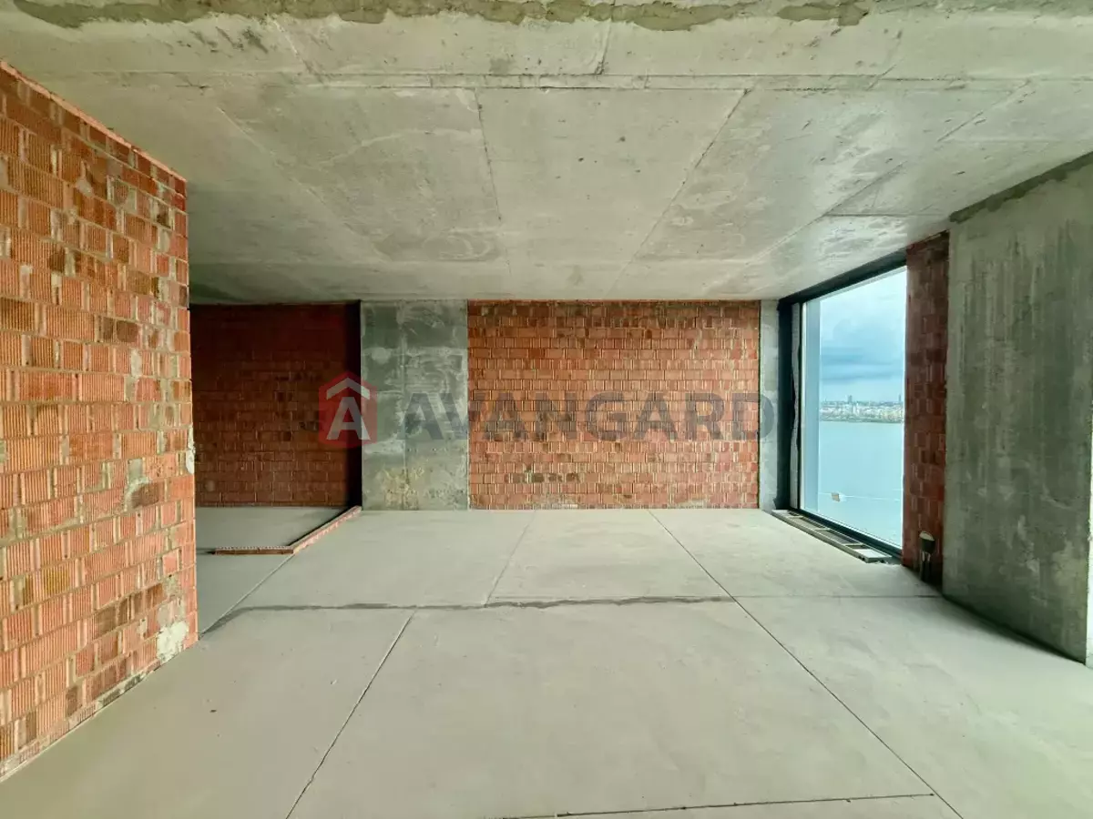 2 . , 51/-/15 . ., 12/36   14