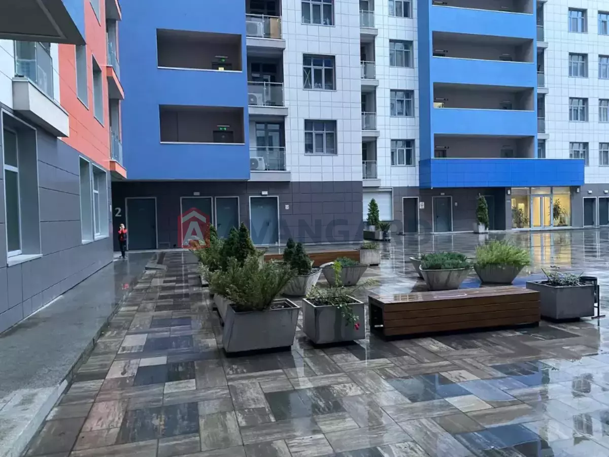 3 ��. ��������, 94/-/- ��. �., 8/10 ������ ���� 1