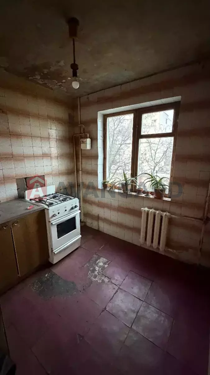 3 ����. ��������, 58/-/- ��. �., 3/5 ���� ���� 8