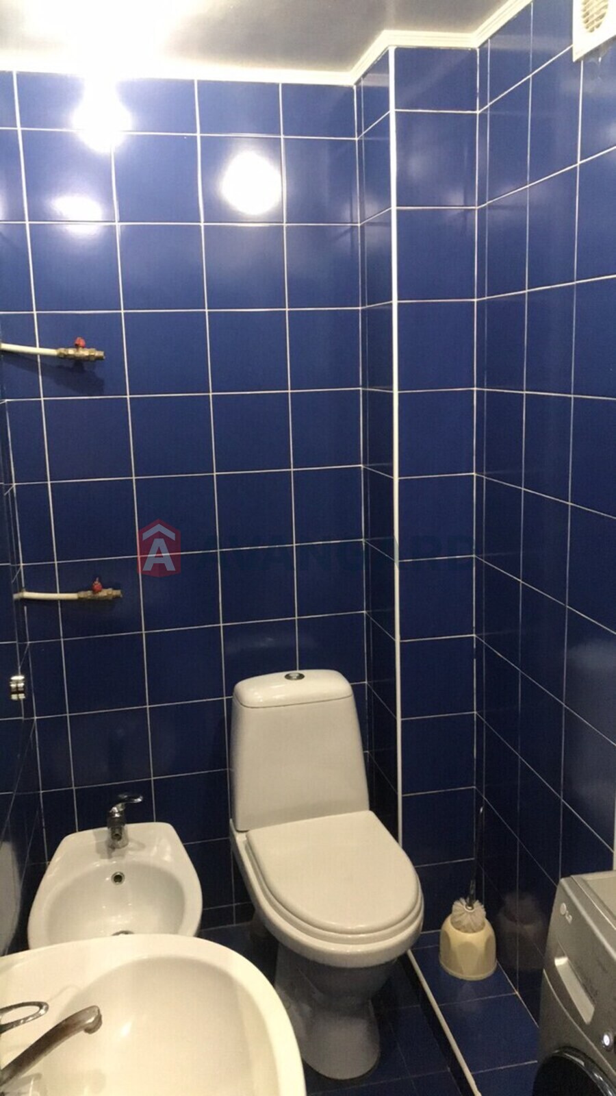 2 ����. ��������, 50/-/5 ��. �., 3/9 ���� ���� 22