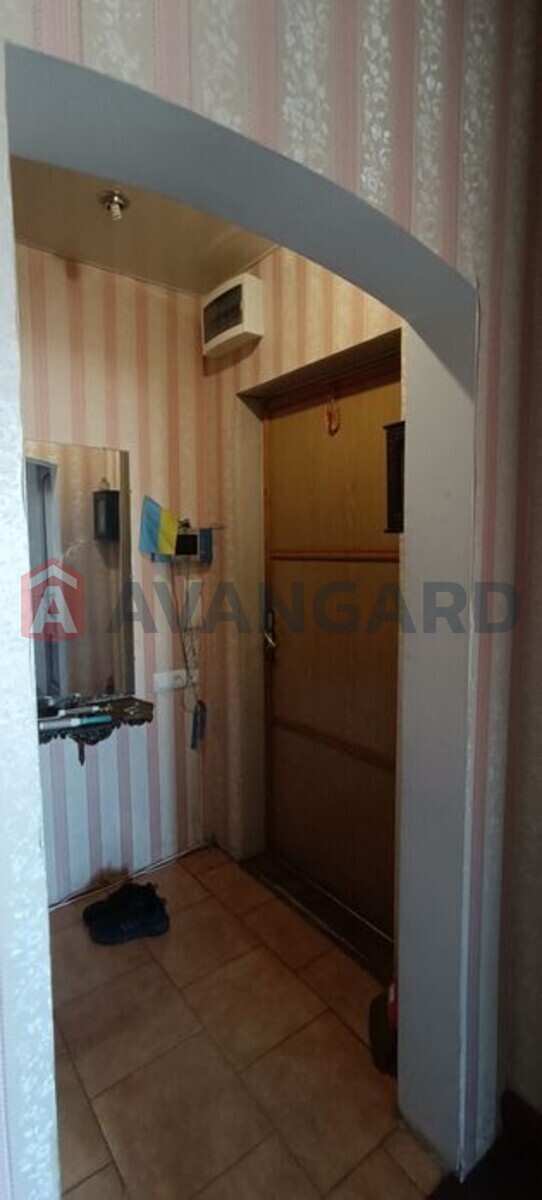 3 ����. ��������, 74/-/9 ��. �., 5/10 ���� ���� 17