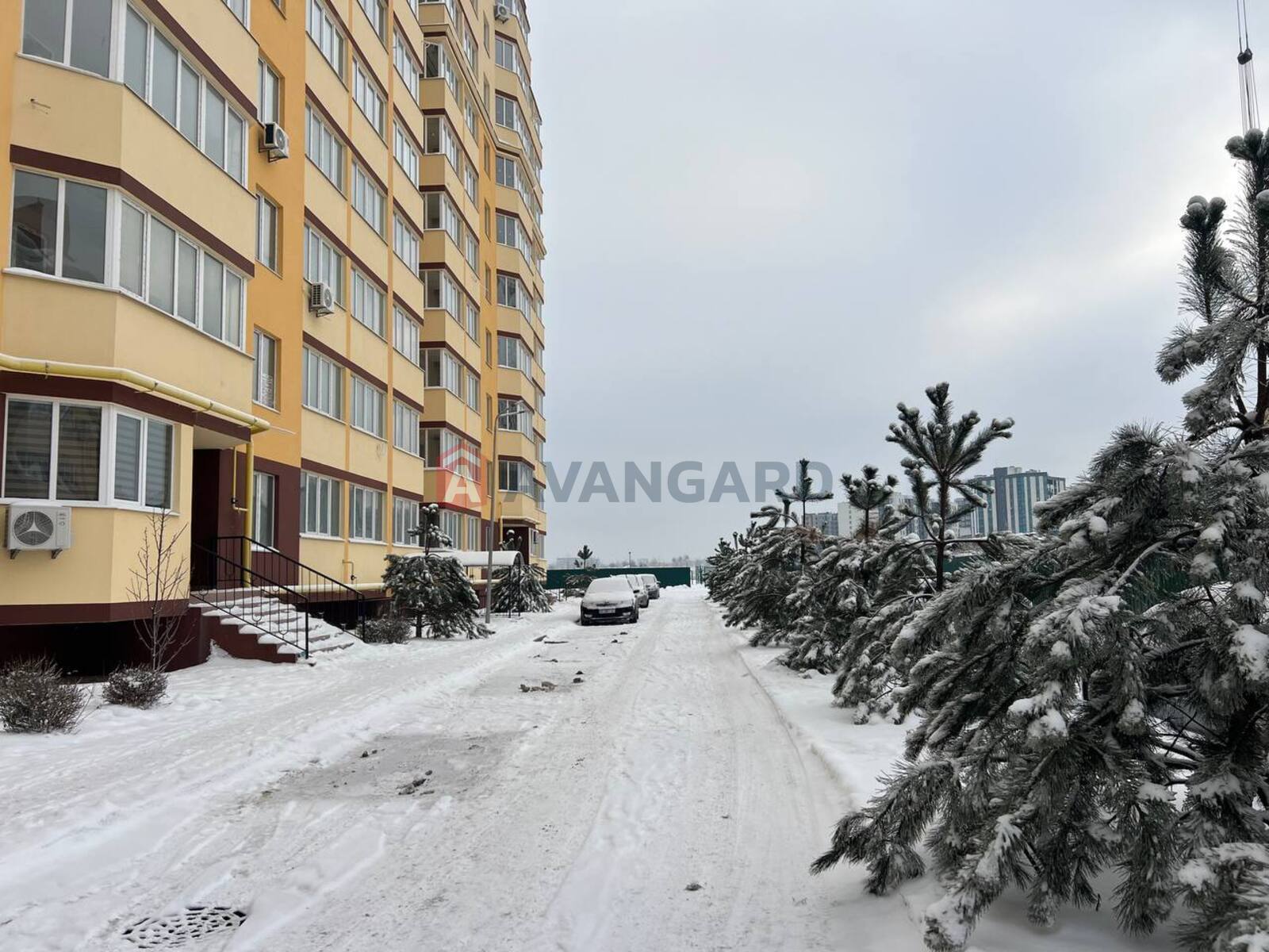 2 ����. ��������, 58/-/12 ��. �., 8/10 ���� ���� 19