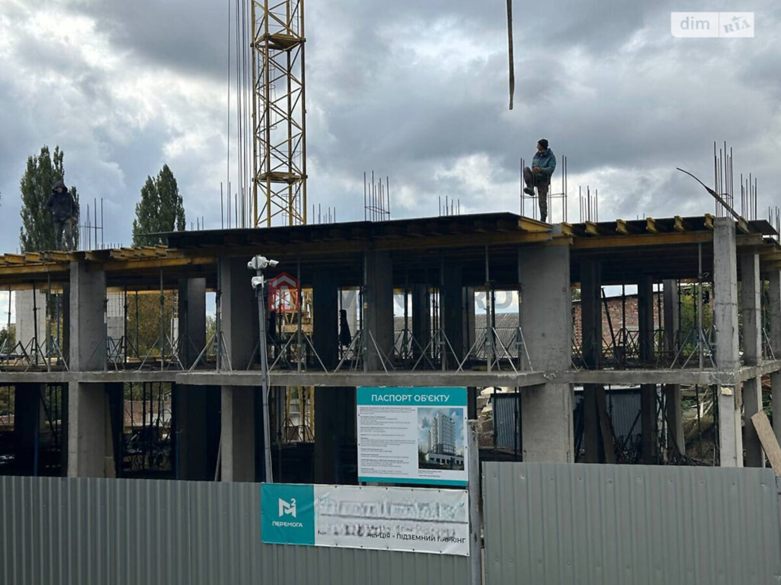 2 ��. ��������, 79/-/- ��. �., 2/10 ������ ���� 8