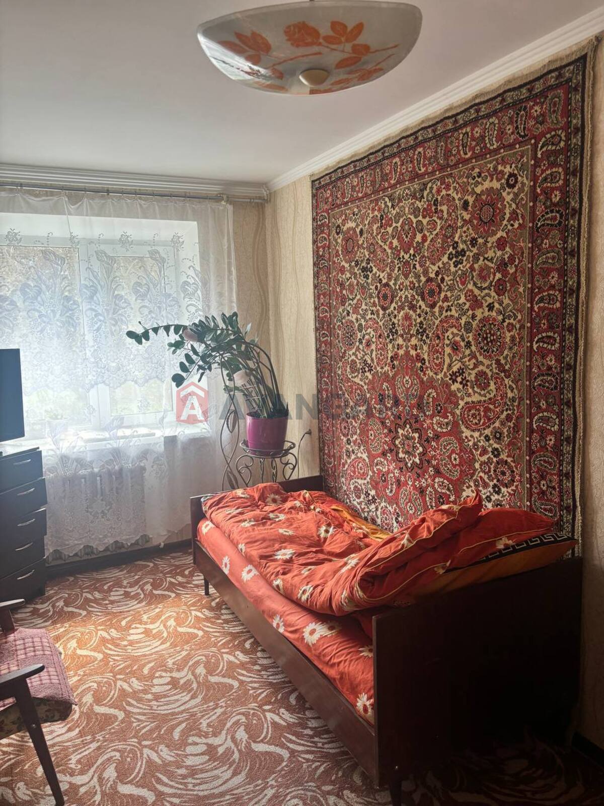 3 ��. ��������, 60/42/6 ��. �., 1/5 ������ ���� 1