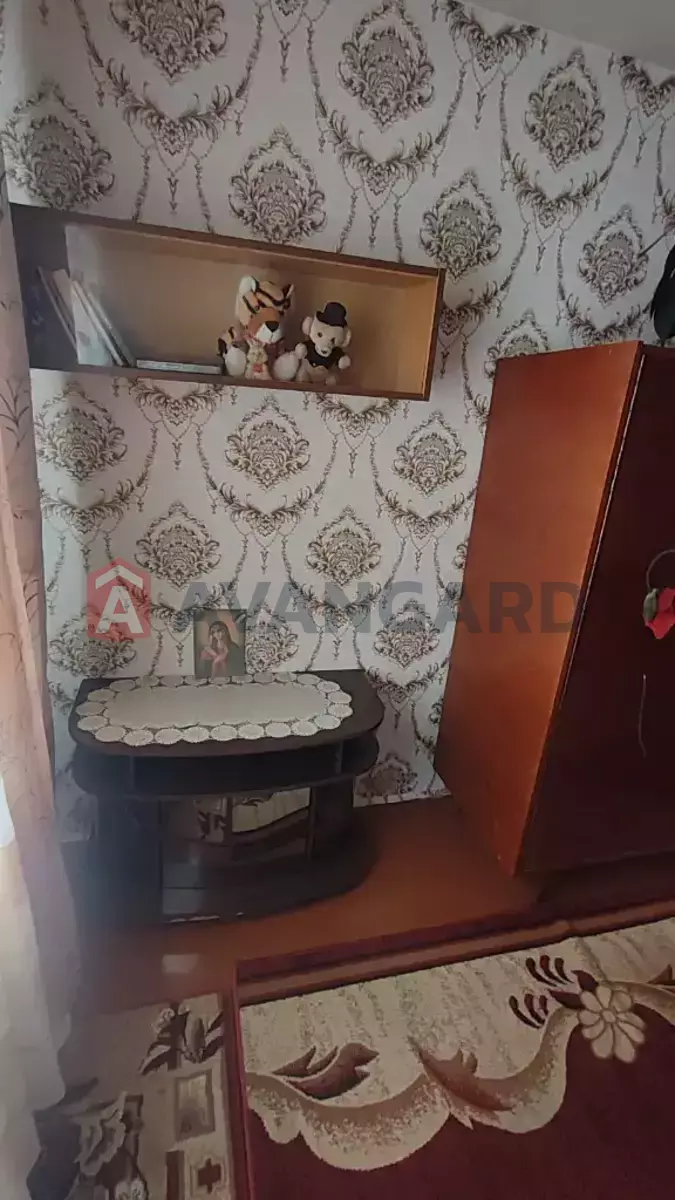 3 ��. ��������, 58/43/6 ��. �., 5/5 ������ ���� 24