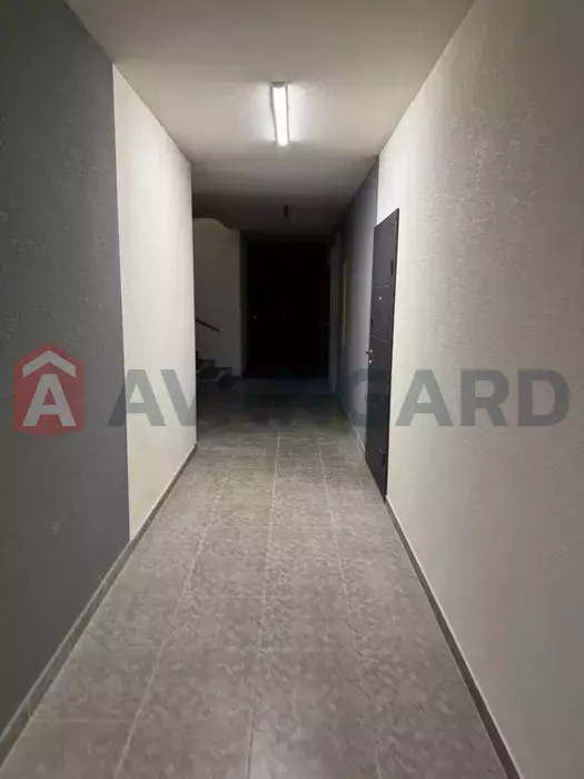 2 . , 75/-/17 . ., 1/6   3