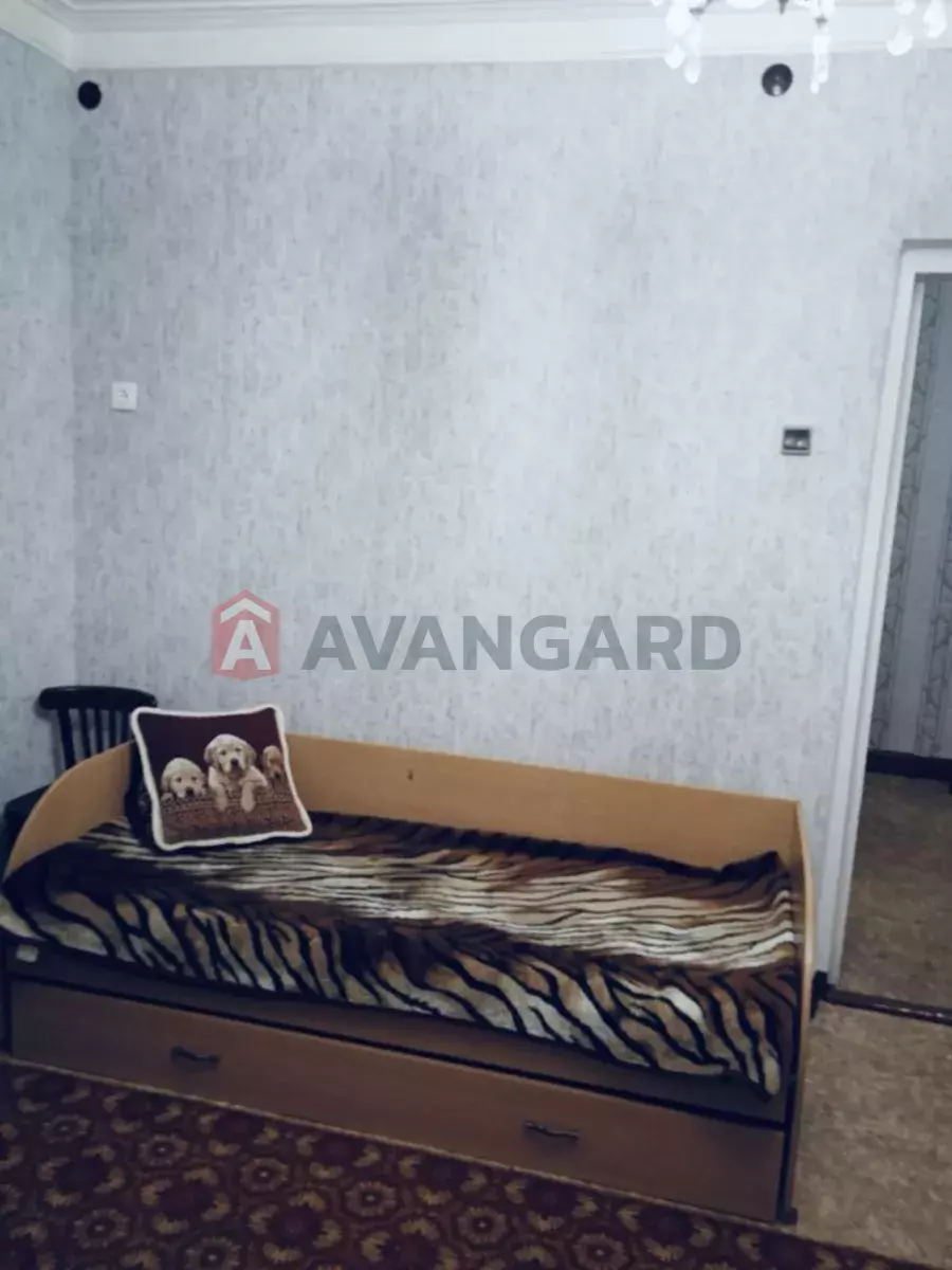 2 ��. ��������, 51/-/10 ��. �., 2/2 ������ ���� 2