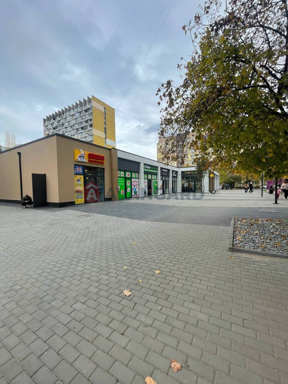 2 . , 55,6/27/8,6 . ., 6/9   4