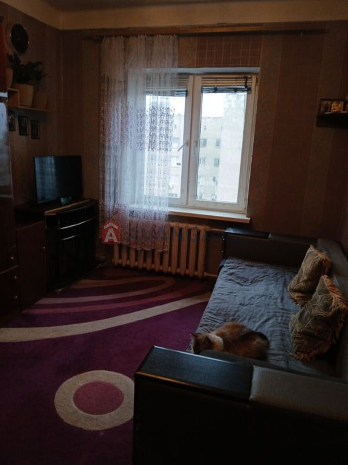 2 . , 51/-/8 . ., 9/9   9