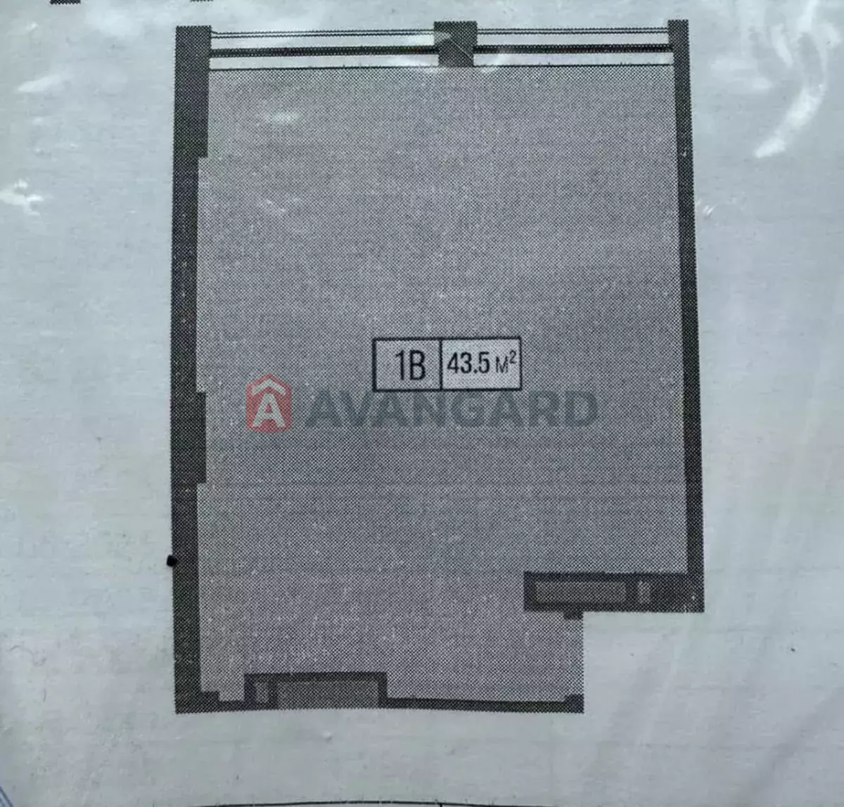 1 . , 43/-/17 . ., 8/24   8