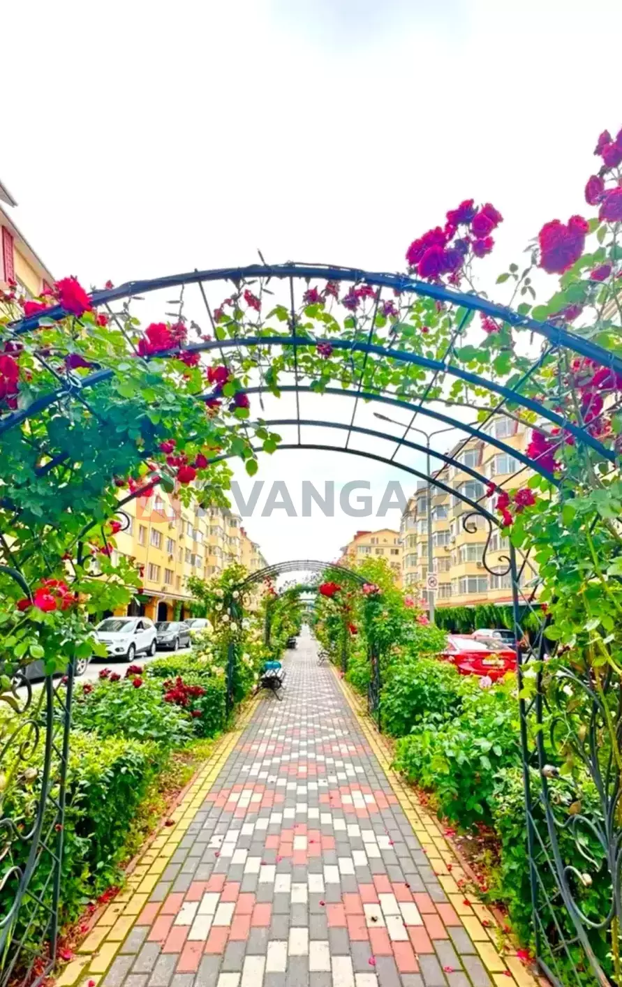 2 ����. ��������, 58/-/12 ��. �., 8/10 ���� ���� 17