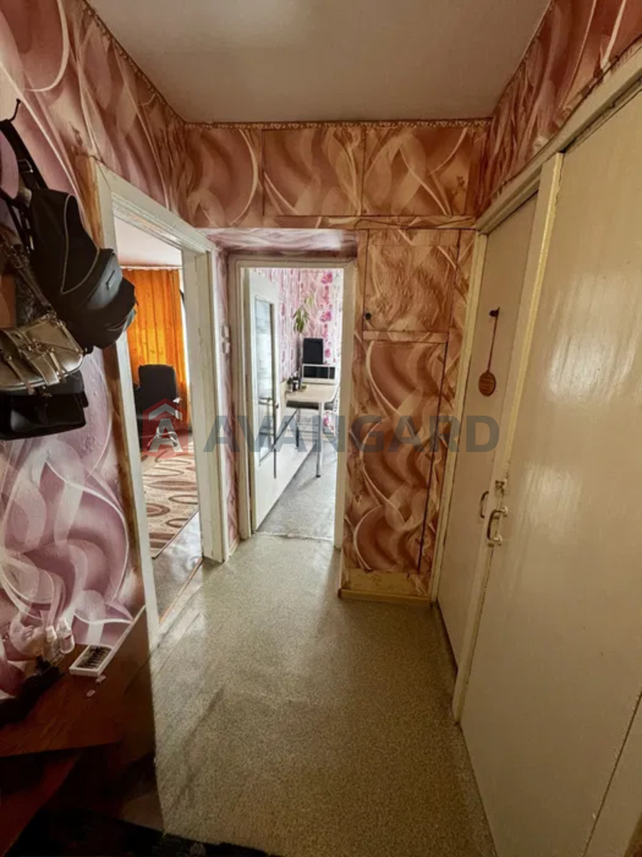 1 ����. ��������, 36/-/8 ��. �., 16/16 ���� ���� 12