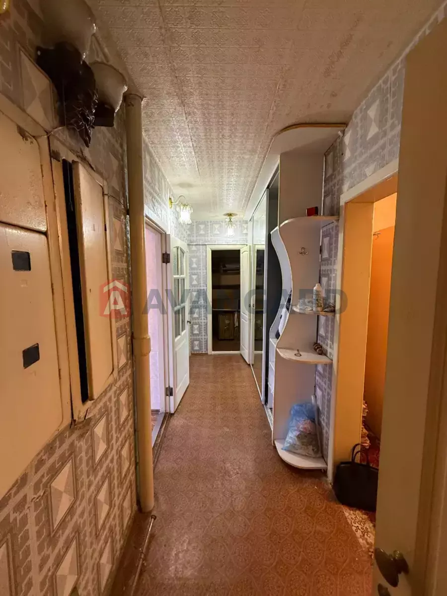 3 ��. ��������, 76/45/8 ��. �., 2/9 ������ ���� 6