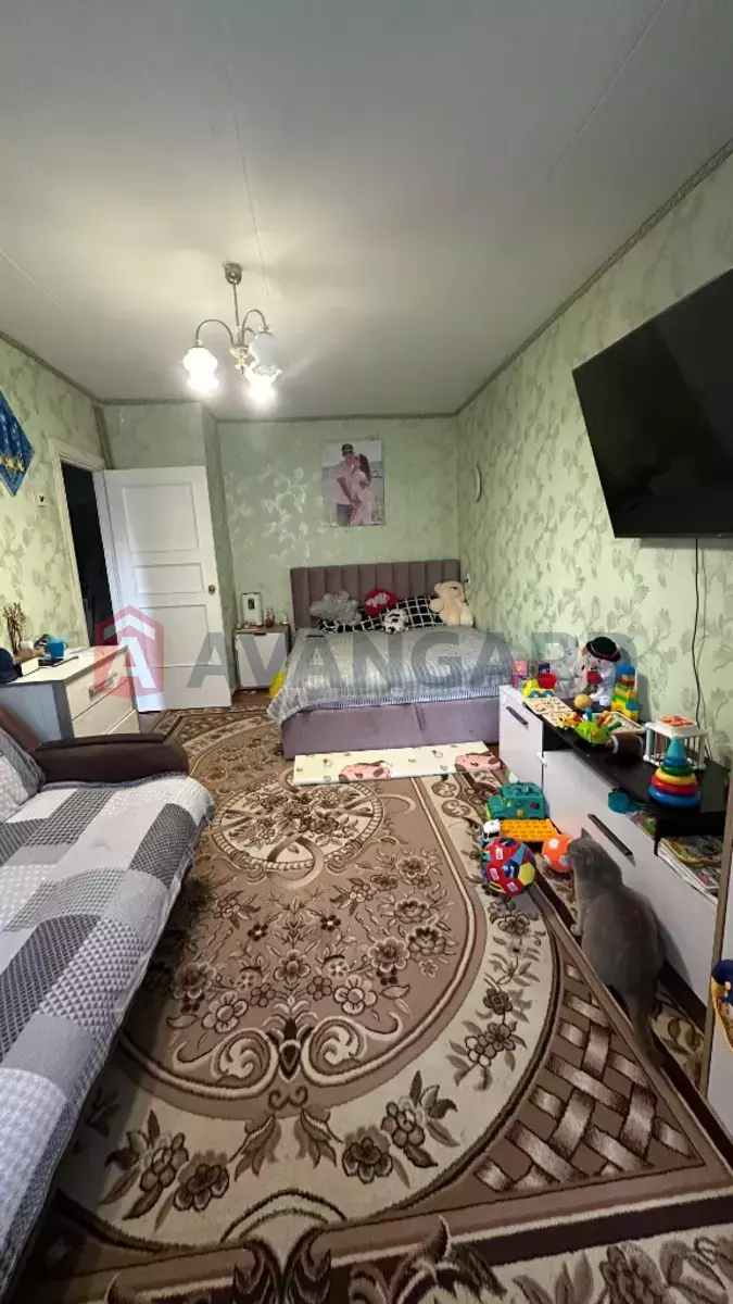 1 ��. ��������, 31/18/6 ��. �., 2/5 ������ ���� 7