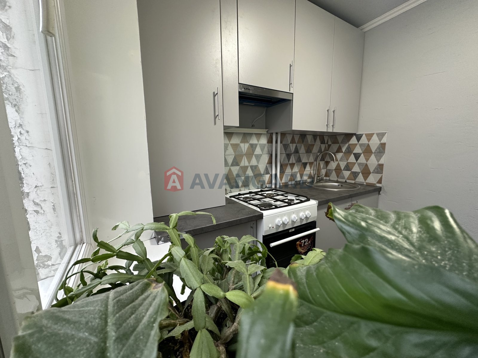 2 ����. ��������, 49/30/8 ��. �., 5/5 ���� ���� 1