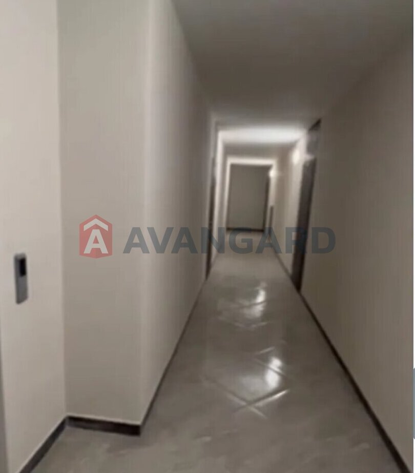 1 ����. ��������, 50/-/16 ��. �., 9/10 ���� ���� 16