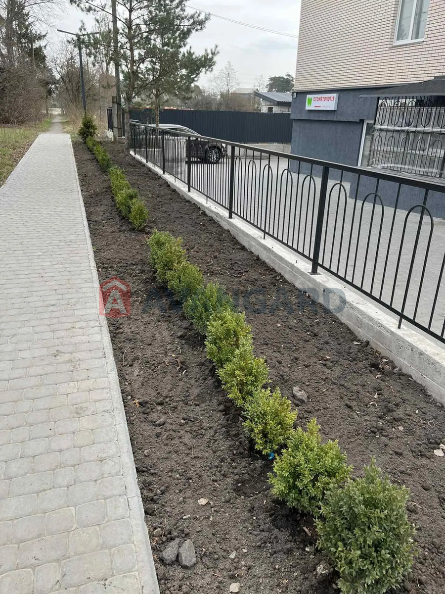 1 ��. ��������, 41/-/10 ��. �., 4/5 ������ ���� 2