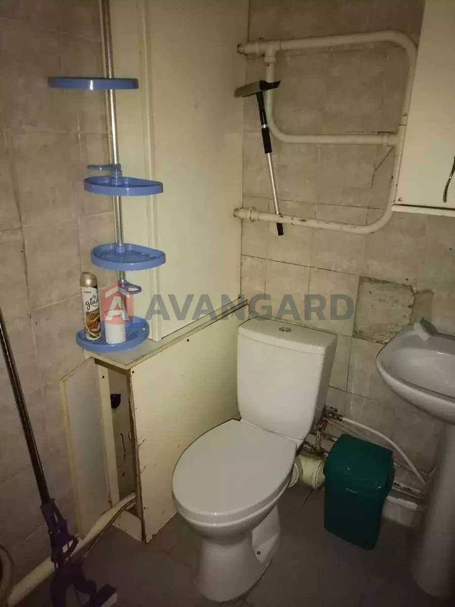 3 ����. ��������, 61/-/7 ��. �., 6/10 ���� ���� 8