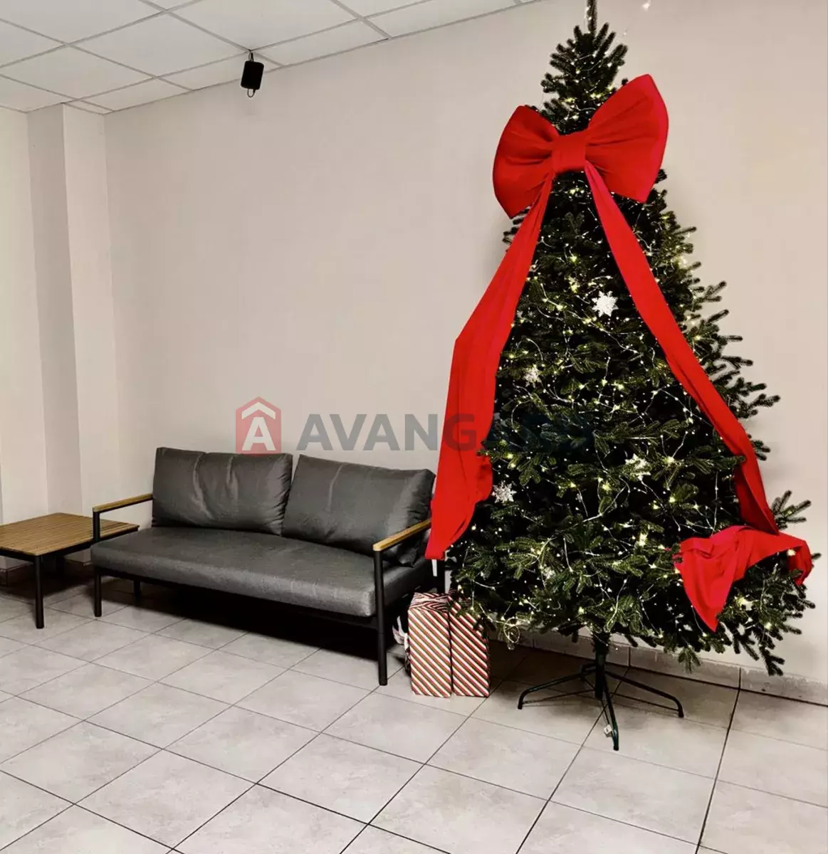 3 ��. ��������, 82/-/25 ��. �., 9/19 ������ ���� 2