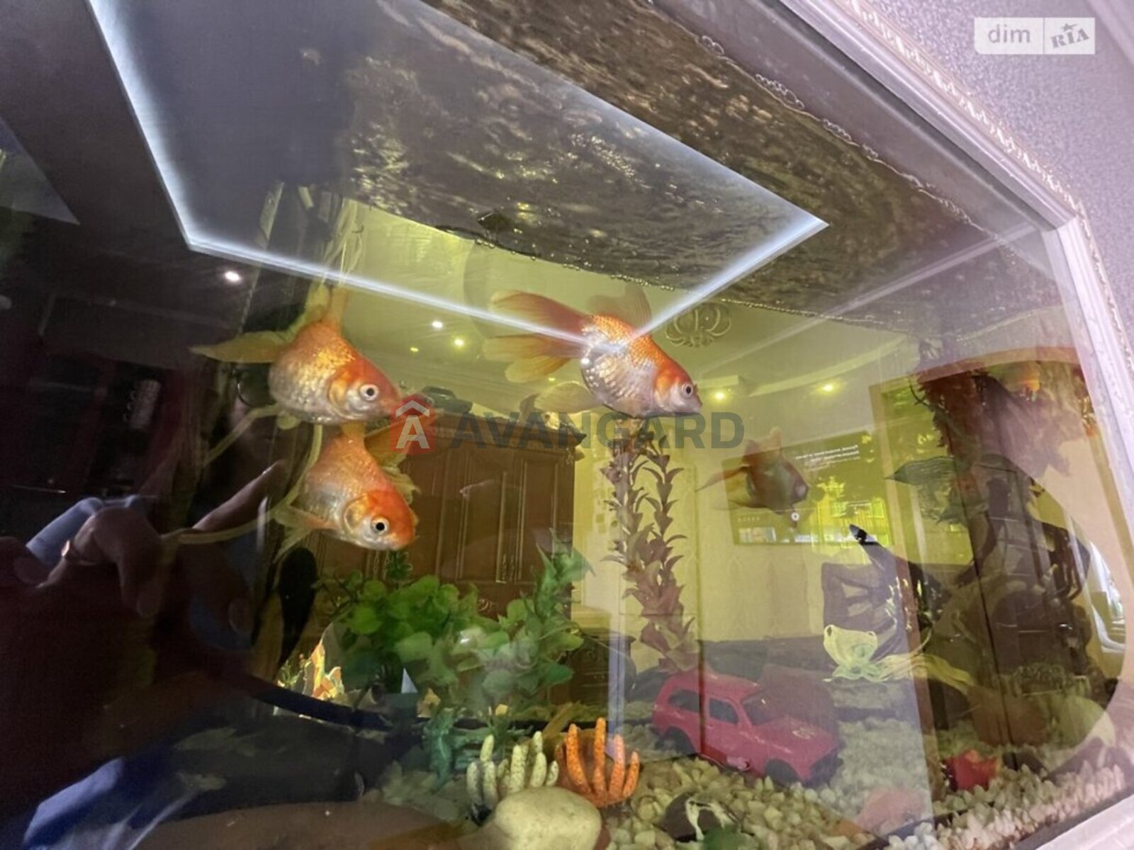 1 ��. ��������, 45/19/15 ��. �., 8/12 ������ ���� 22