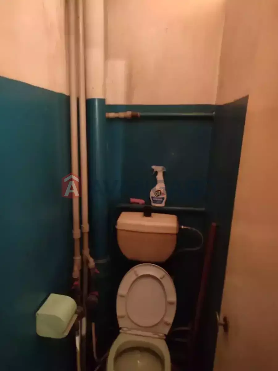 3 ��. ��������, 63/-/- ��. �., 8/10 ������ ���� 5