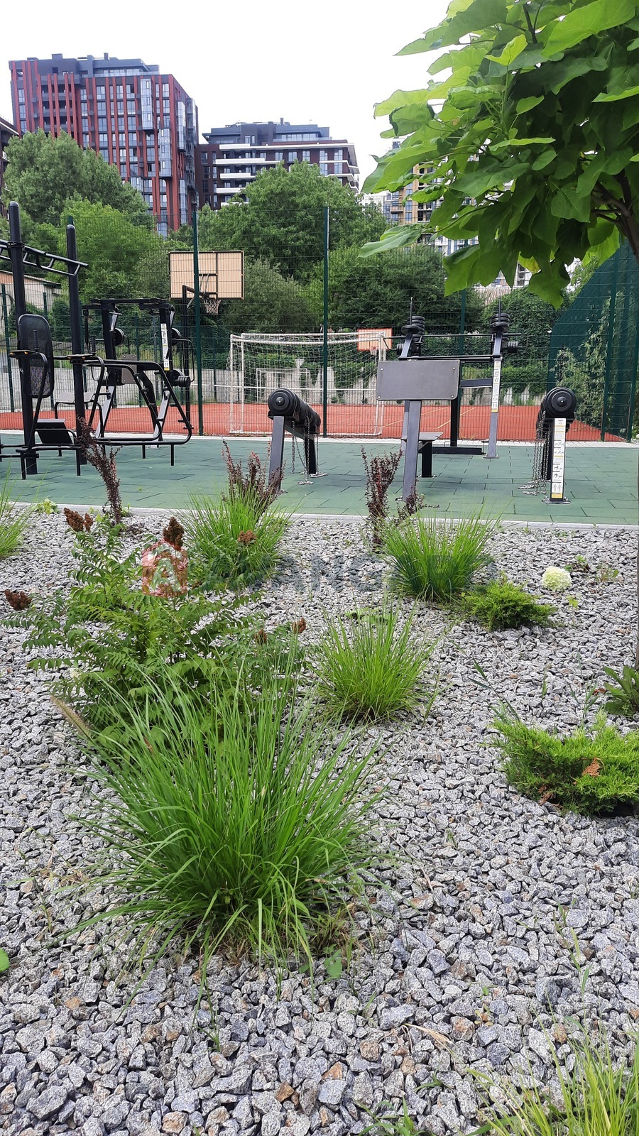 3 ����. ��������, 83/-/- ��. �., 2/8 ���� ���� 3