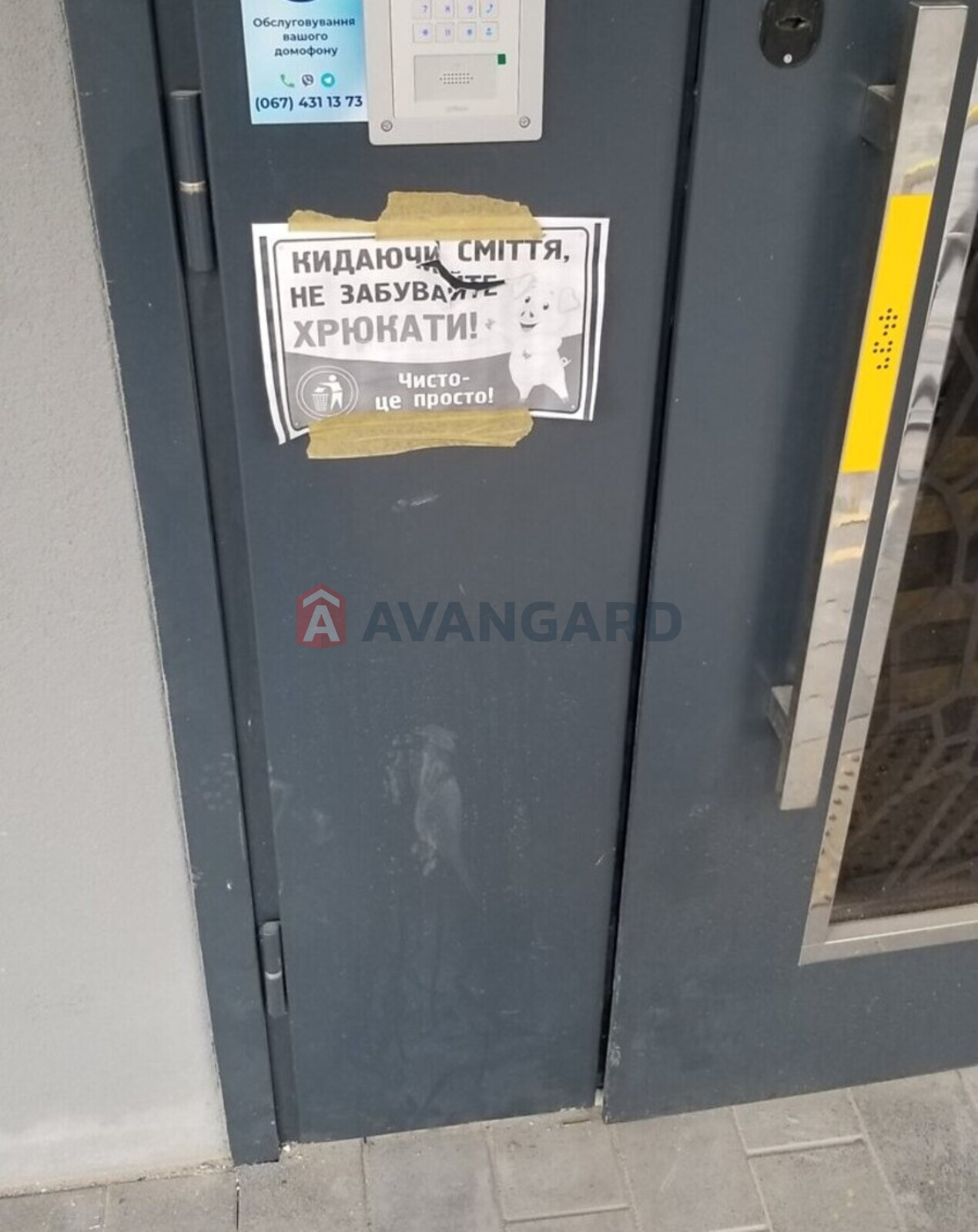 1 ����. ��������, 42/17/12 ��. �., 11/11 ���� ���� 5