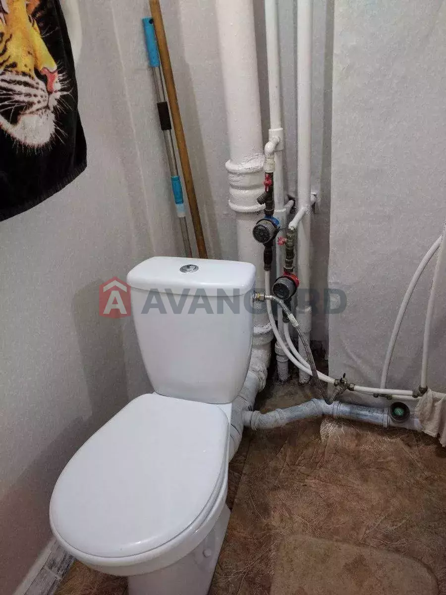 1 ��. ��������, 30/-/5 ��. �., 8/9 ������ ���� 3