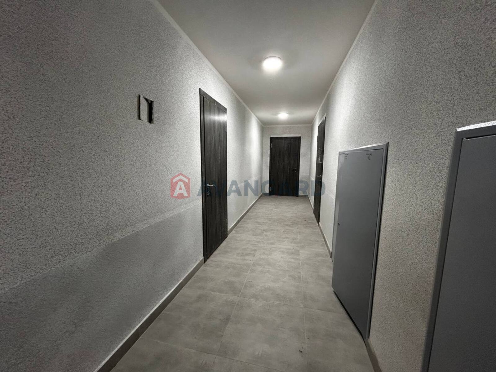 2 . , 78,8 /38,18/19,78 . ., 2/6   8