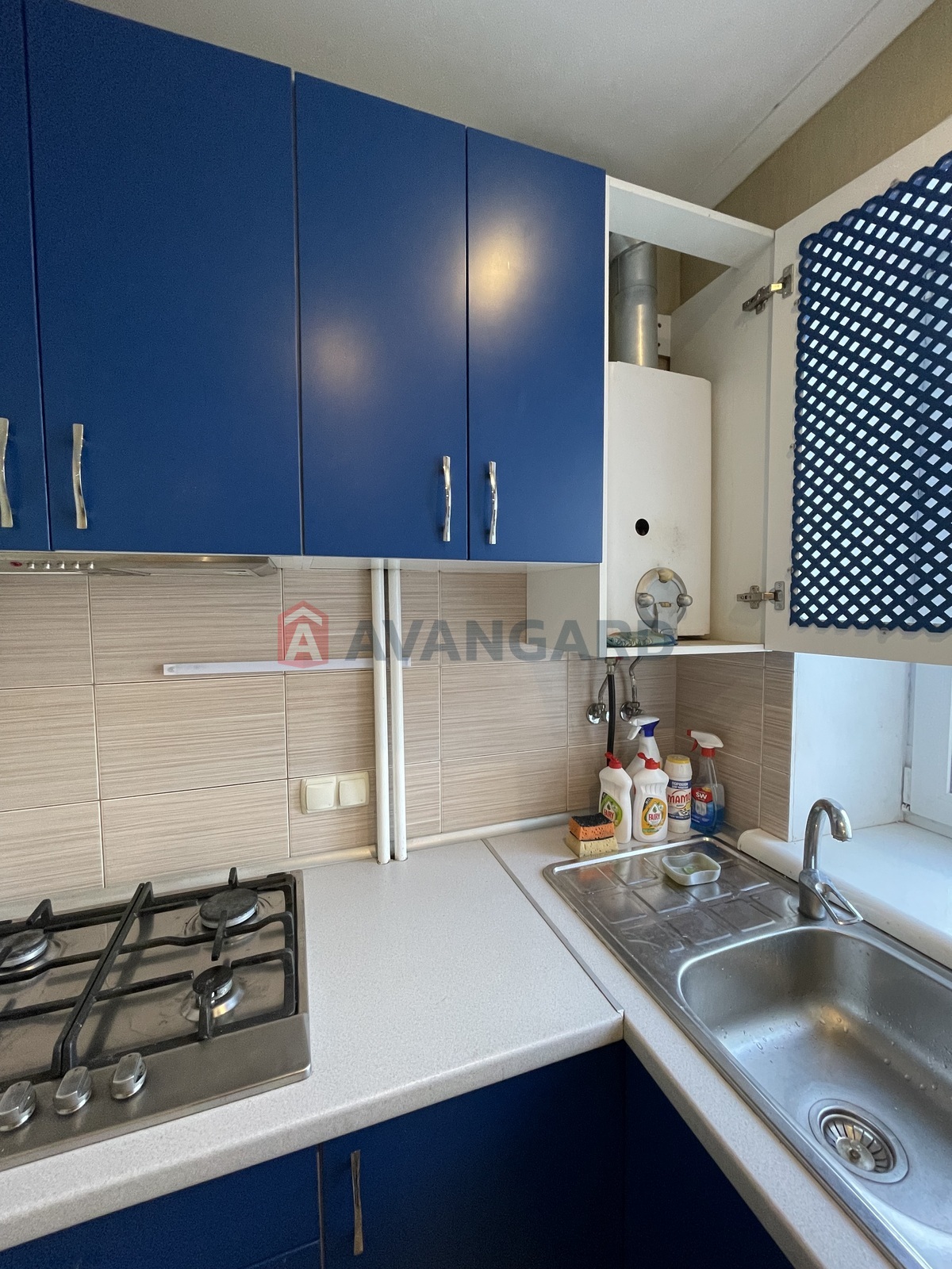 1 ��. ��������, 29,3/17,5/4,4 ��. �., 5/5 ������ ���� 5