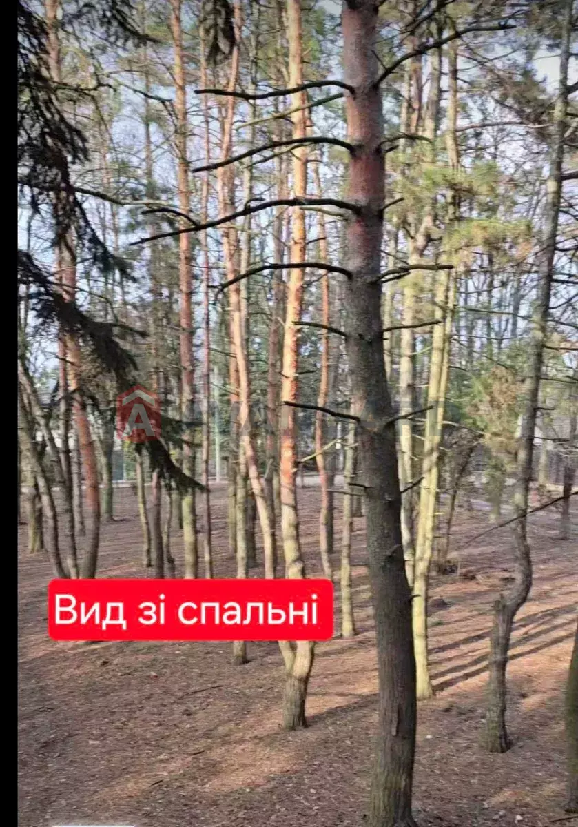 2 ��. ��������, 63/-/18 ��. �., 2/2 ������ ���� 7