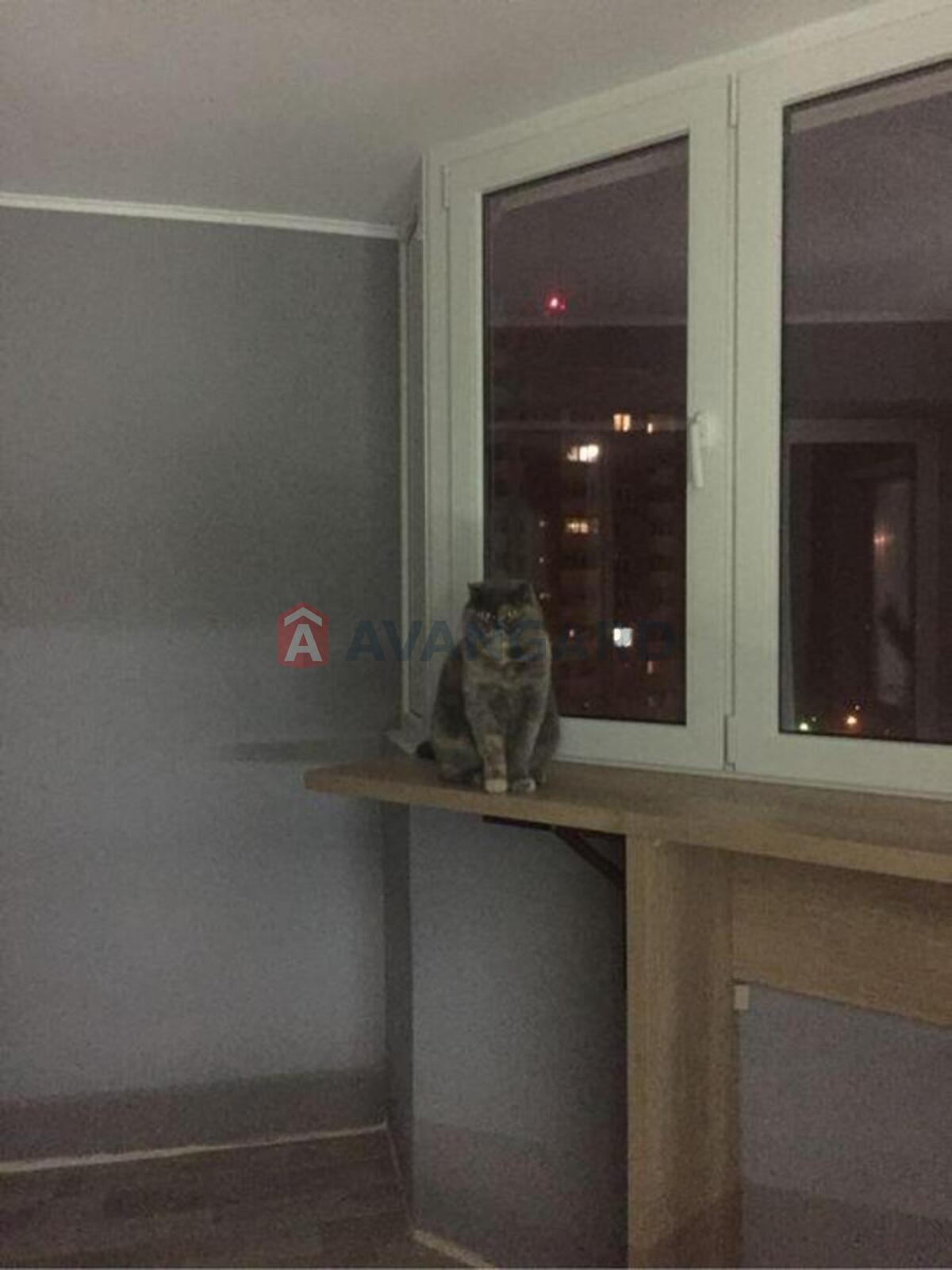 2 ��. ��������, 76/-/11 ��. �., 20/25 ������ ���� 13