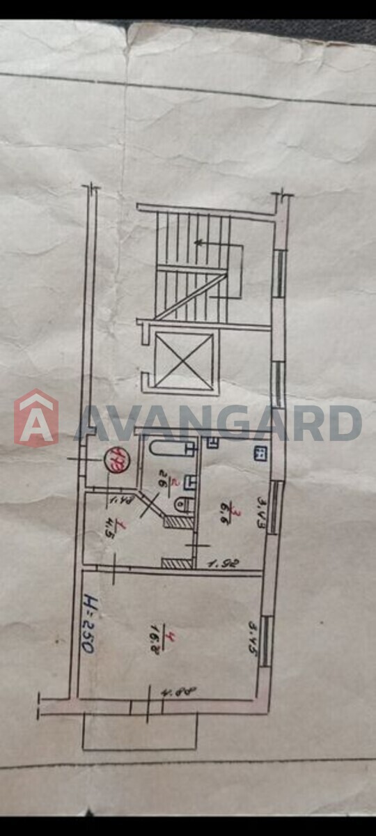 1 ��. ��������, 31/-/6 ��. �., 8/9 ������ ���� 8