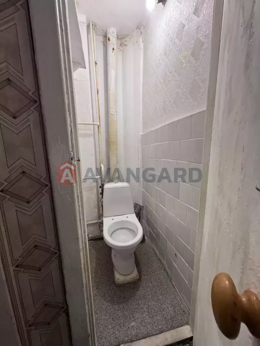 3 ��. ��������, 56/41/5 ��. �., 4/5 ������ ���� 24