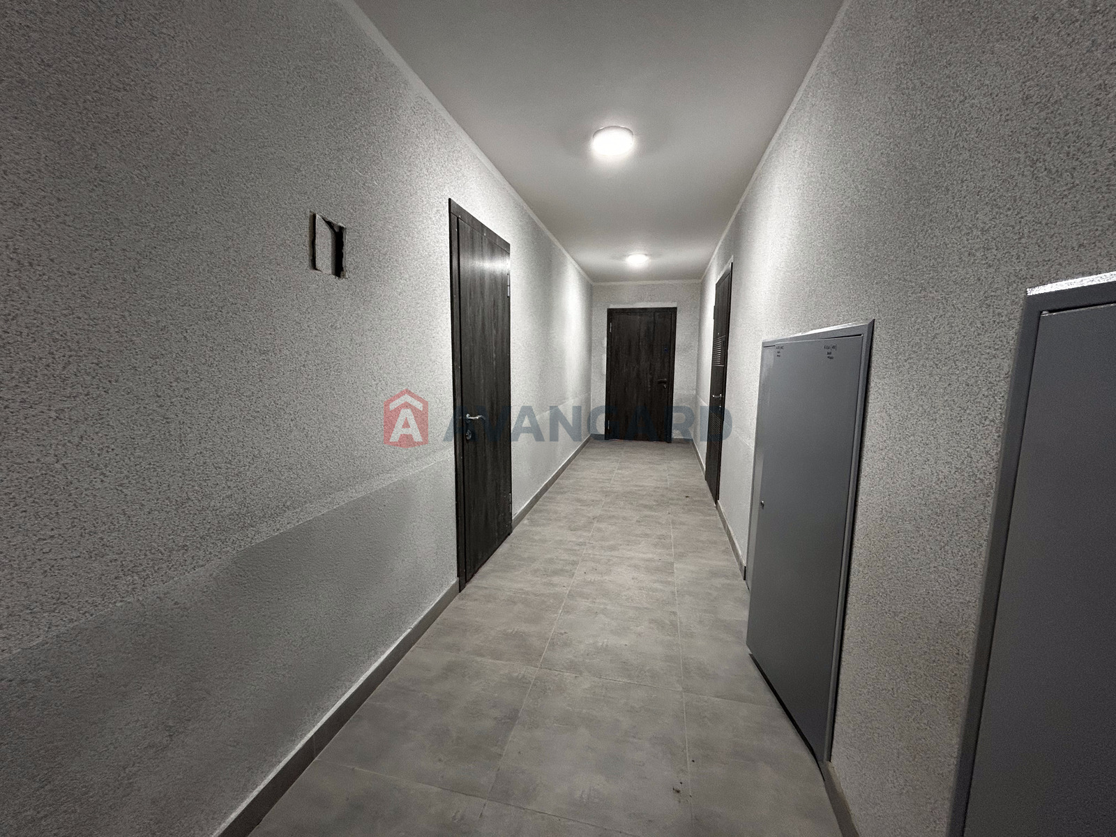 2 . , 78,8/38,1/19,7 . ., 2/6   18