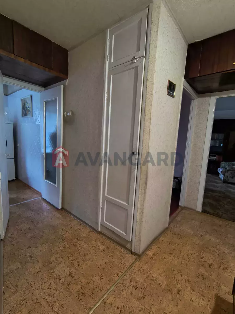 3 . , 59/-/5 . ., 3/5   11