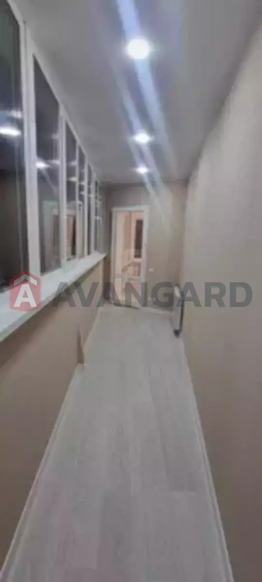 3 ��. ��������, 80/-/11 ��. �., 6/11 ������ ���� 5