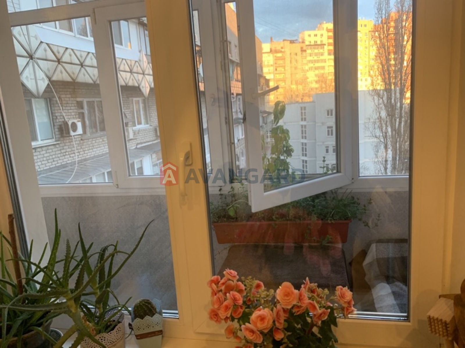 1 ��. ��������, 35.1/16.6/7.7 ��. �., 7/9 ������ ���� 4