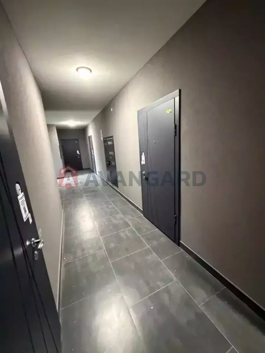 3 ��. ��������, 100/-/11 ��. �., 6/9 ������ ���� 11