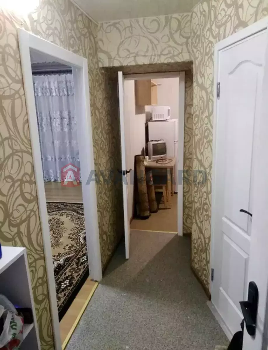 1 ��. ��������, 31/-/6 ��. �., 5/5 ������ ���� 2