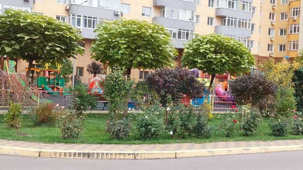 1 ��. ��������, 41/-/12 ��. �., 23/26 ������ ���� 14