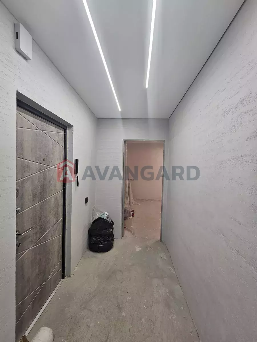 2 ����. ��������, 53/33/8 ��. �., 8/9 ���� ���� 5